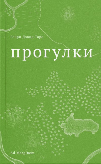 Прогулки